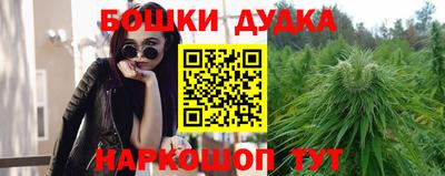 стаф Лесосибирск