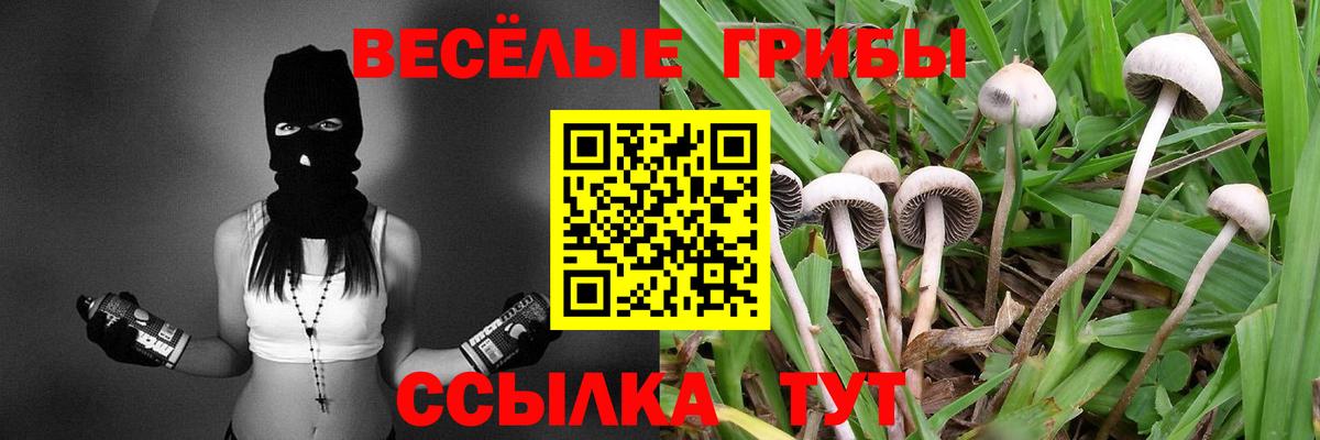 Галлюциногенные грибы MAGIC MUSHROOMS  Вход с VPN  Сыктывкар  Галлюциногенные грибы MAGIC MUSHROOMS 