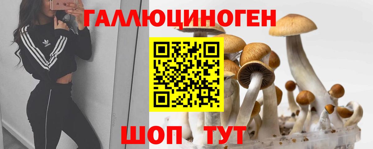 Галлюциногенные грибы ЛСД Сыктывкар